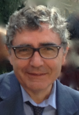 Picture of José Vicente Gisbert-Navarro